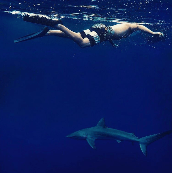 Screen Shot 2017-04-11 at 11.52.12 AM