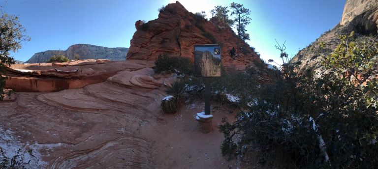 Photo Dec 17, 9 44 44 AM_preview