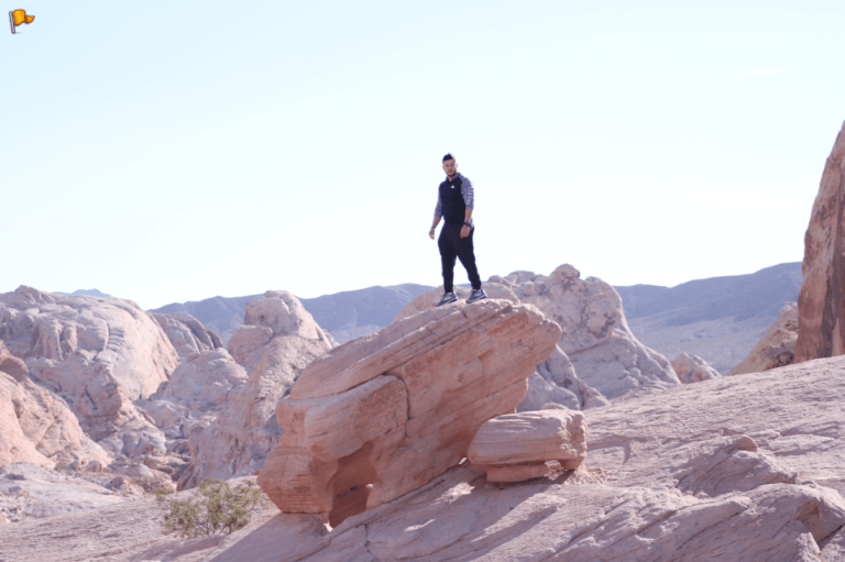 Screen Shot 2018-02-20 at 12.07.58 PM